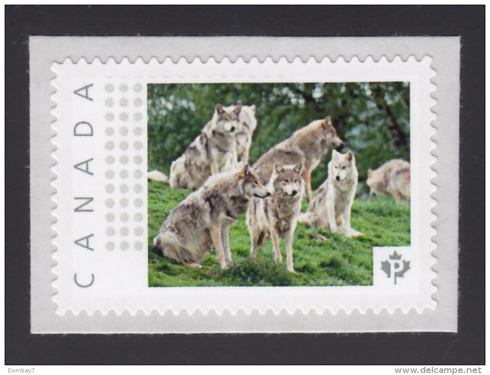 WOLF, Volves Pack, LOUP, LOBO, LUPO, Picture Postage Mint, Unused Stamp, Canada  2014 [p6sn7] - Dogs