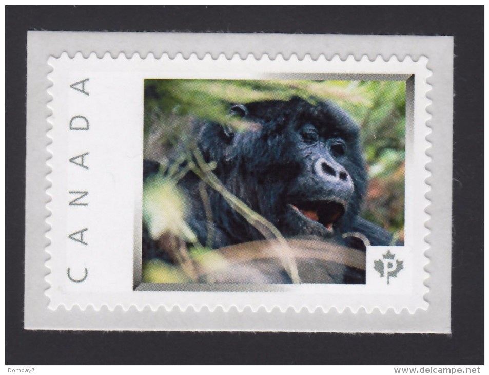 GORILLA, MONKEY, Picture Postage Mint, Unused Stamp, Canada  2014 [p6sn10] - Gorilles