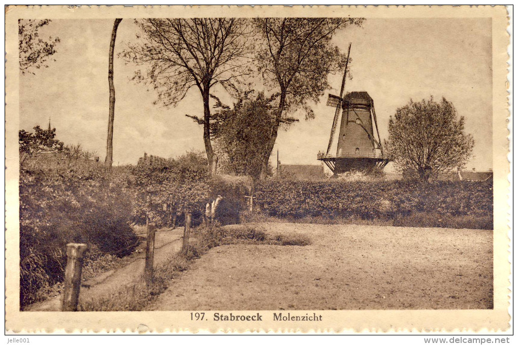 Stabroeck Stabroek Molenzicht - Stabroek