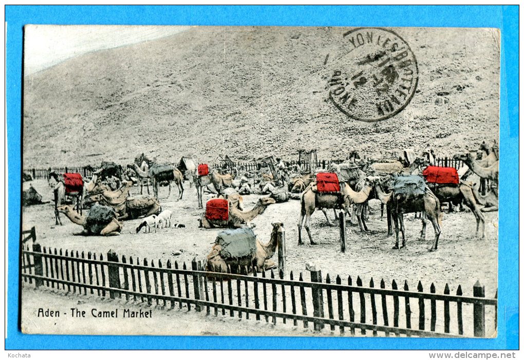 LIP326, Aden, The Camel Market, Chameau , Marché,  Circulée 1912 - Yemen