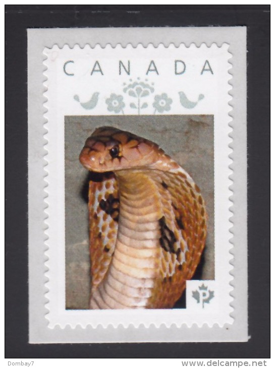 COBRA SNAKE, SERPENT, KOBRA SCHLANGE Picture Postage Mint, Unused Stamp, Canada  2014 [p6sn11] - Serpents