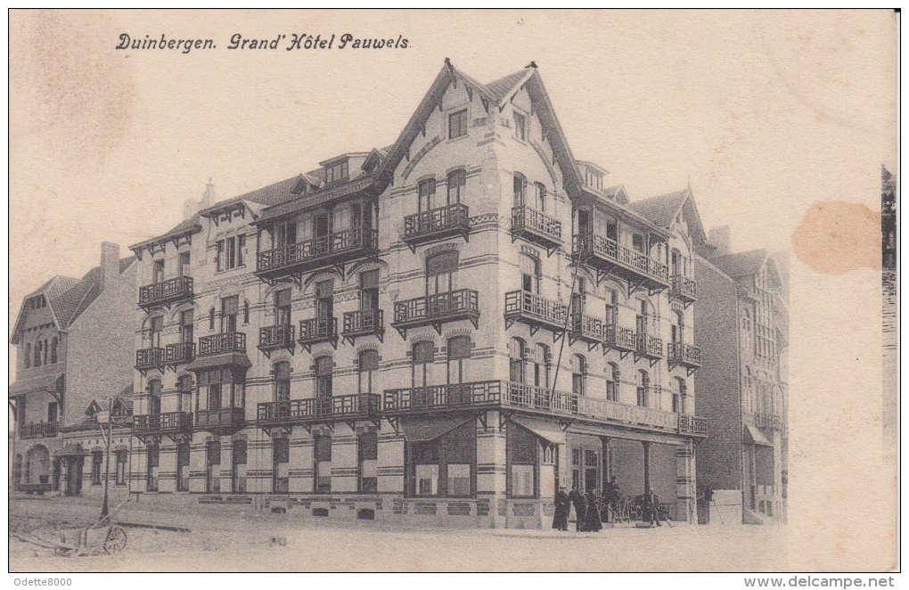 Duinbergen    Grand'Hotel Pauwels       Nr 2833 - Knokke