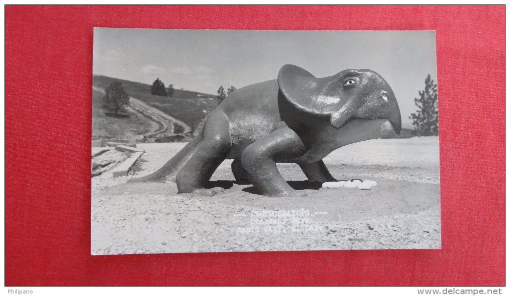 - South Dakota> Rapid City  Dinosaur Park Photoceratops  RPPC-----1845 - Rapid City