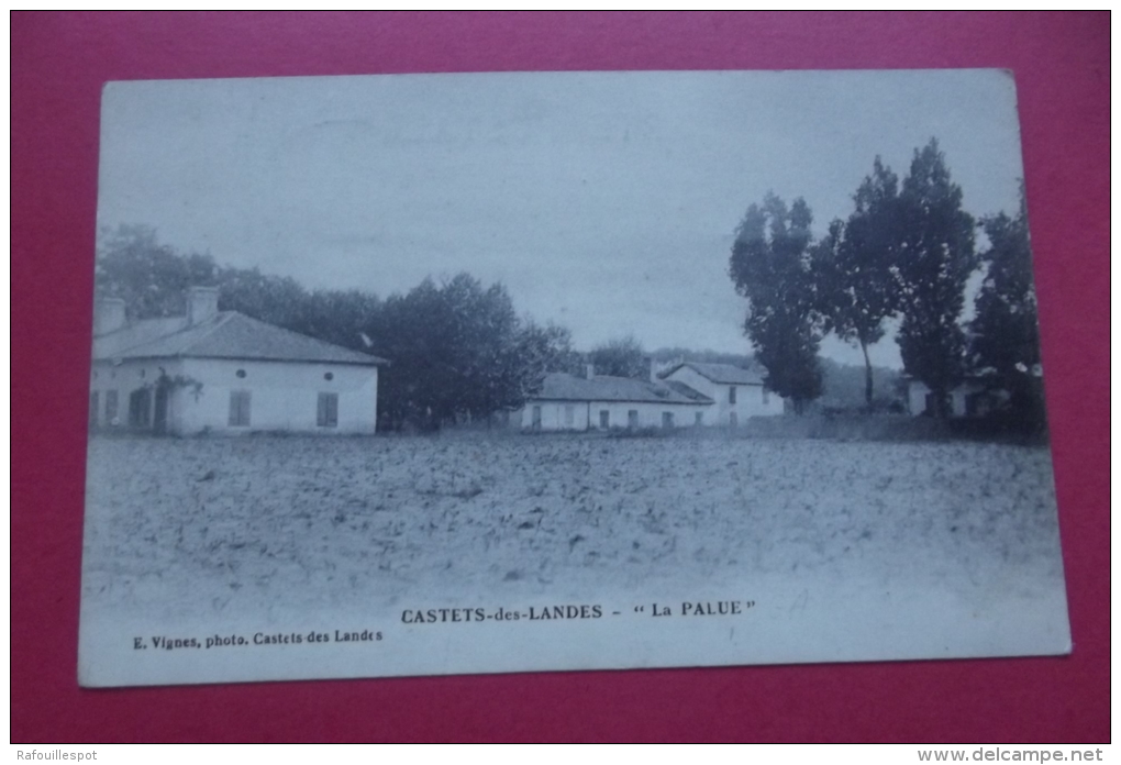 Cp  Castets Des Landes " La Palue" - Castets