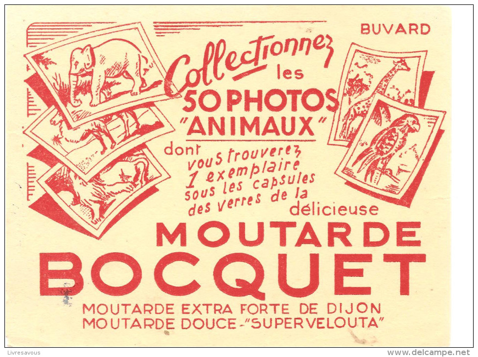Buvard BOCQUET Moutarde BOCQUET Collectionnez Les 50 Photos D'animaux - Mosterd