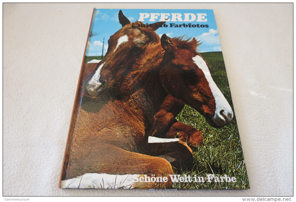 Jane Burton/David Gibbon "Pferde" Aus Der Reihe Schöne Welt In Farbe, Mit 116 Farbfotos - Animales