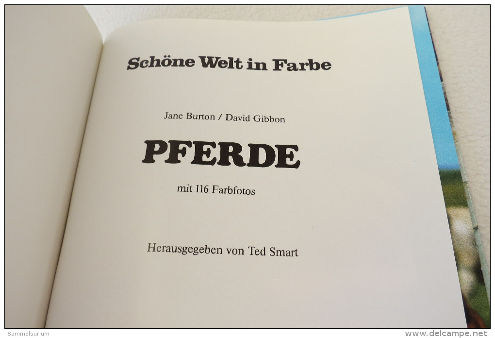 Jane Burton/David Gibbon "Pferde" Aus Der Reihe Schöne Welt In Farbe, Mit 116 Farbfotos - Animales