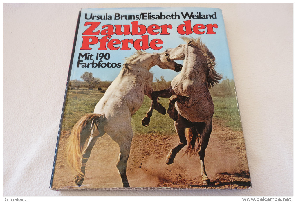 Ursula Bruns/Elisabeth Weiland "Zauber Der Pferde" Mit 190 Farbfotos - Animales