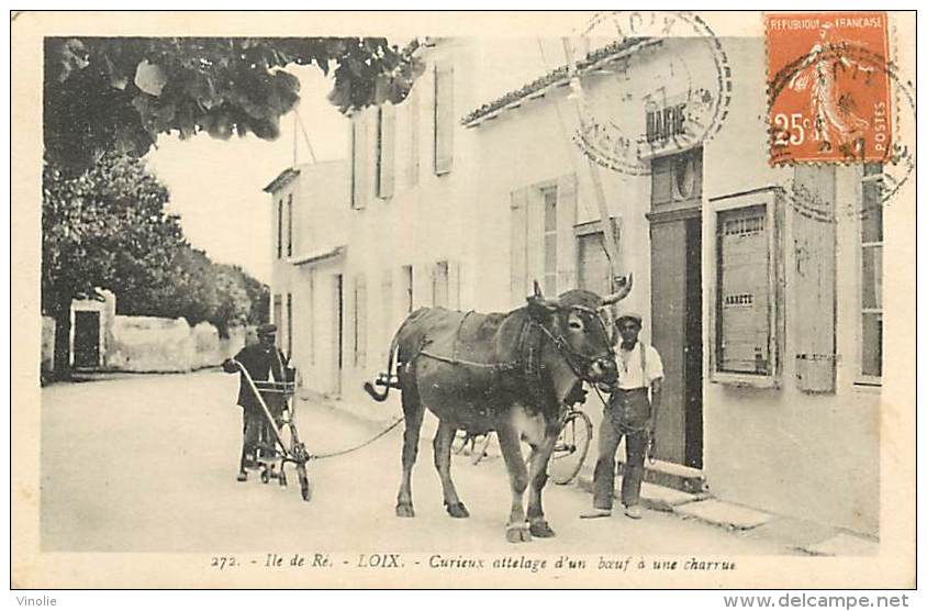 Réf : D-15-1673  :  ILE DE RE   LOIX EN RE - Ile De Ré