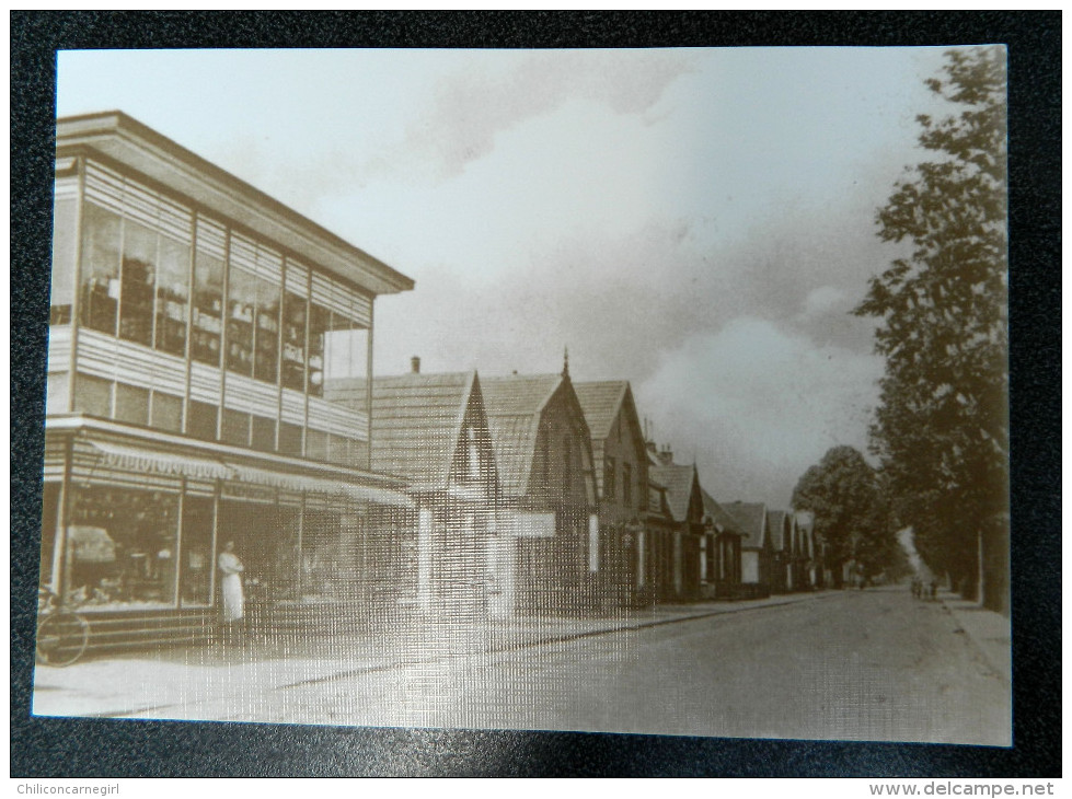 Slagharen, Lutten En Schuinesloot In Oude Ansichtkaarten - Uitgegeven Door C  1000 Van Der Schouw - Andere & Zonder Classificatie