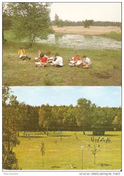 HEIDE - Calmpthout (2920) : Domein "Diesterweg". Openluchtschool Voor Bosklassen. 2 Gekleurd CPM. - Kalmthout