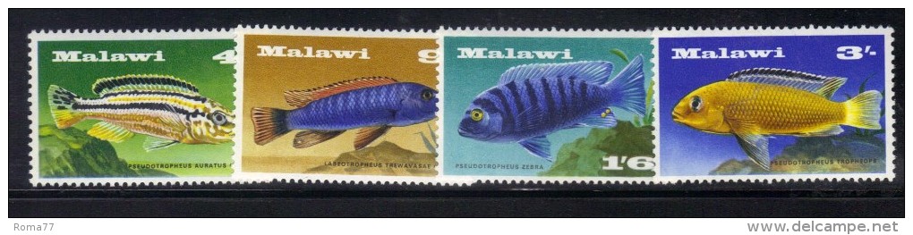 CI962 - MALAWI 1967, Serie N. 68/71  *** MNH . Pesci Fish - Malawi (1964-...)