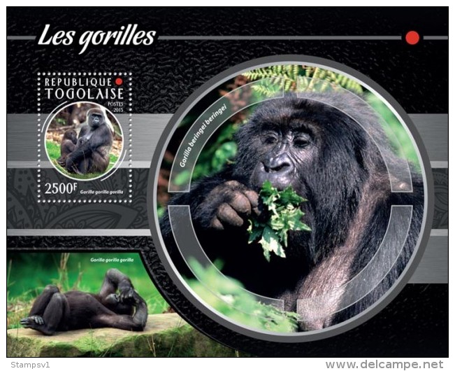 Togo. 2015 Gorillas. (209b) - Gorilas