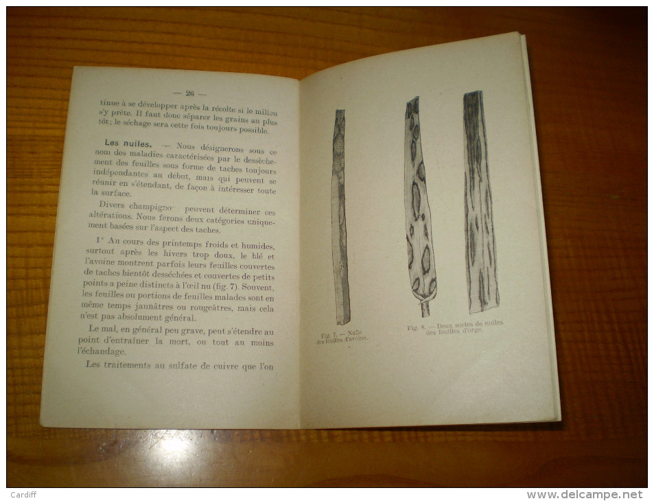 Vermorel : Les Maladies Des Céréales Par V. Ducomet : Rouille,charbon,piétin,meunier,ergot.... - Garden