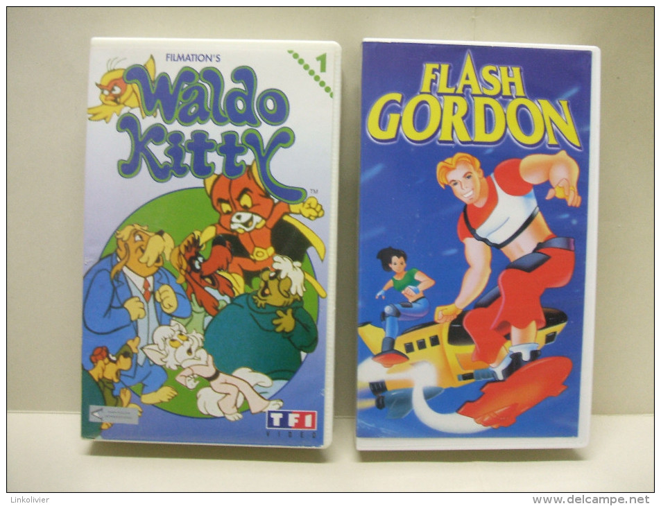 2 X K7 CASSETTE VIDEO VHS Secam : FLASH GORDON Et WALDO KITTY N°1 - Dessins Animés