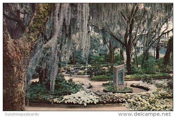 Bellingrath Gardens Mobile Alabama - Mobile