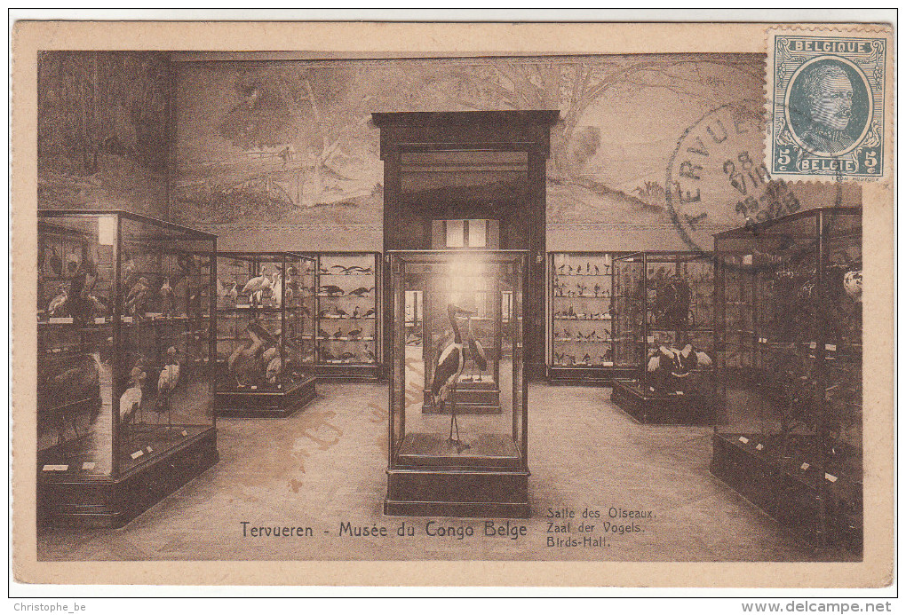 Tervueren, Musée Du Congo Belge, Zaal Der Vogels, Salles Des Oiseaux (pk19313) - Tervuren