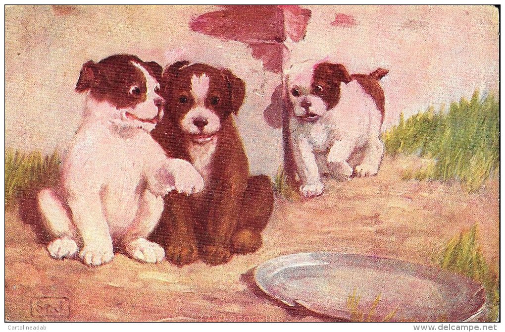 [DC4582] CARTOLINA - ILLUSTRATA - CANI - Non Viaggiata - Old Postcard - Cani