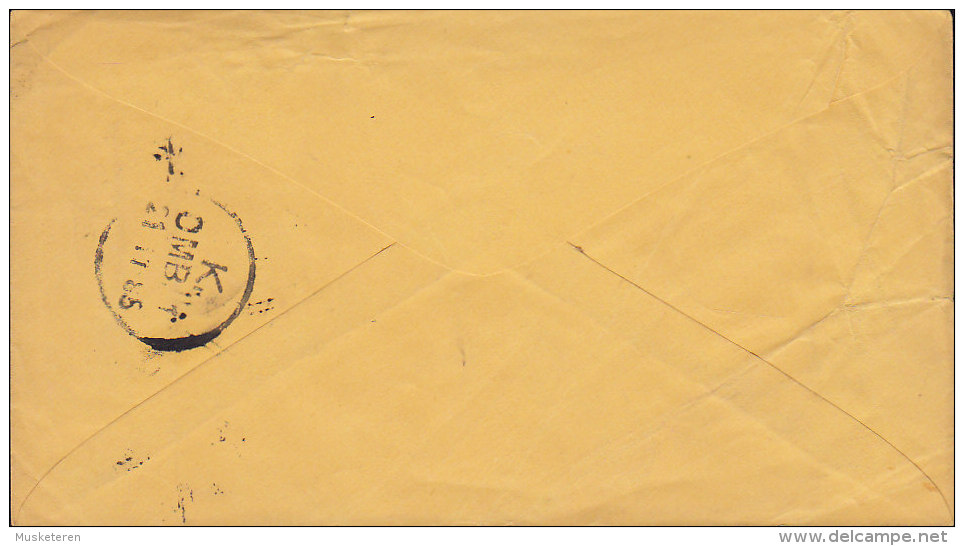 United States Postal Stationery Ganzsache Entier 1c. Benjamin Franklin NEW YORK 1885 To Denmark (2 Scans) - ...-1900