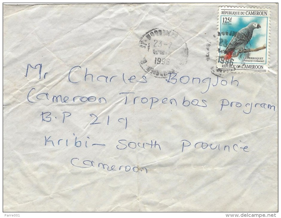 Cameroun Cameroon 1996 Yaounde To Kribi Grey Parrot Remark Received Wet Domestic Cover - Kameroen (1960-...)