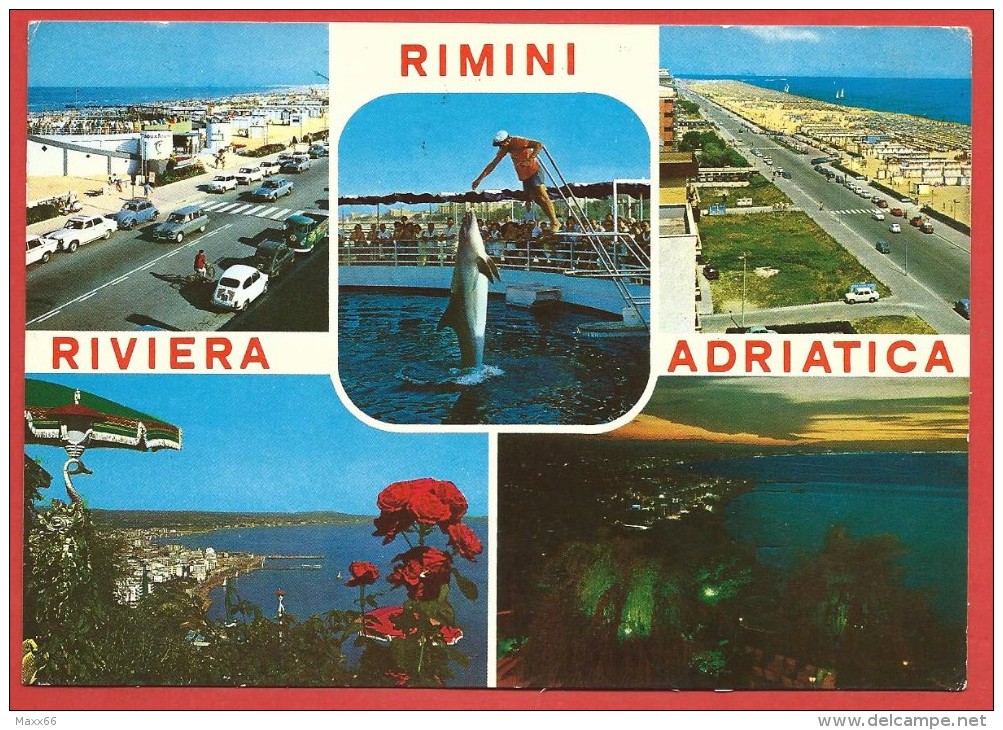 CARTOLINA VG ITALIA - RIMINI - Riviera Adriatica - Delfini - Vedutine - 10 X 15 - ANN. 1969 - Rimini