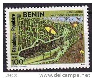 BENIN: INSECTES,insecte. Yvert N°656 **  Neuf Sans Charniere (MNH)  Criquet - Autres & Non Classés