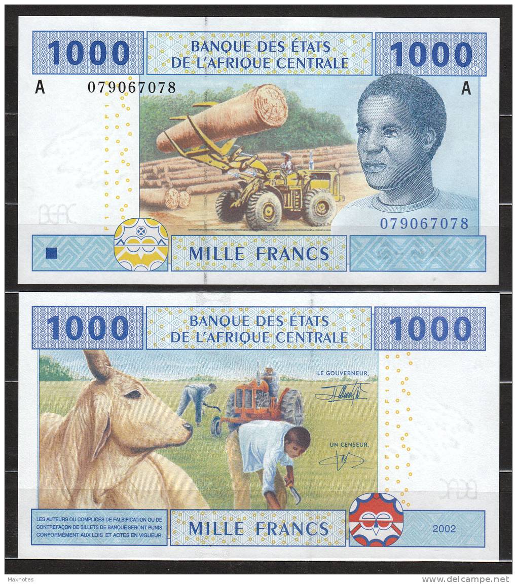 GABON  (C.A.S.) : 1000 Franchi - 407A - FDS - Gabun