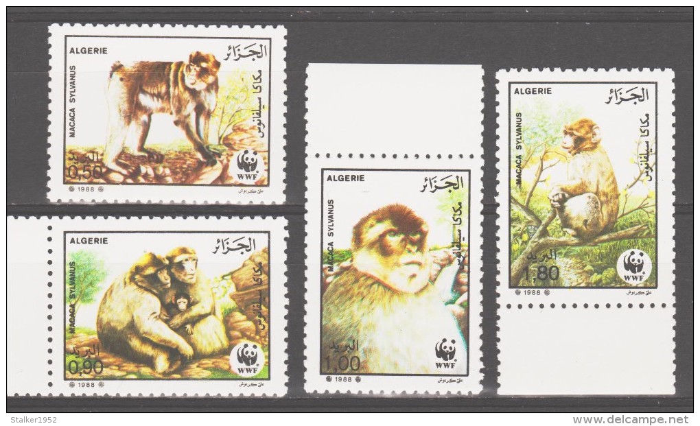 Algeria 1988 Algerien Mi 972-975 Worldwide Conservation: Magot / Weltweiter Naturschutz: Magot **/ MNH - Neufs