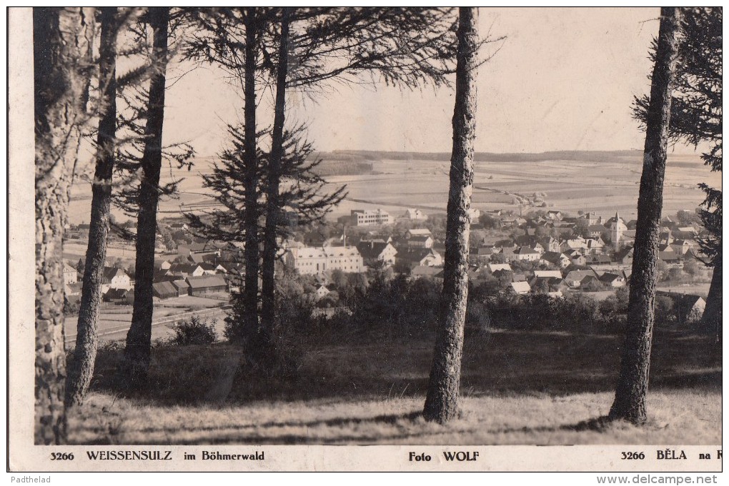 POSTCARD WEISSENSULZ IM BOHMERWALD - Czech Republic