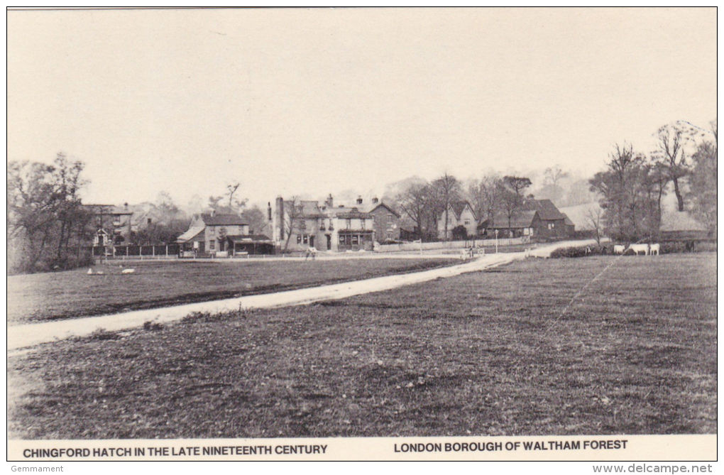 WALTHAM FOREST - CHINGFORD HATCH, REPRINT - London Suburbs
