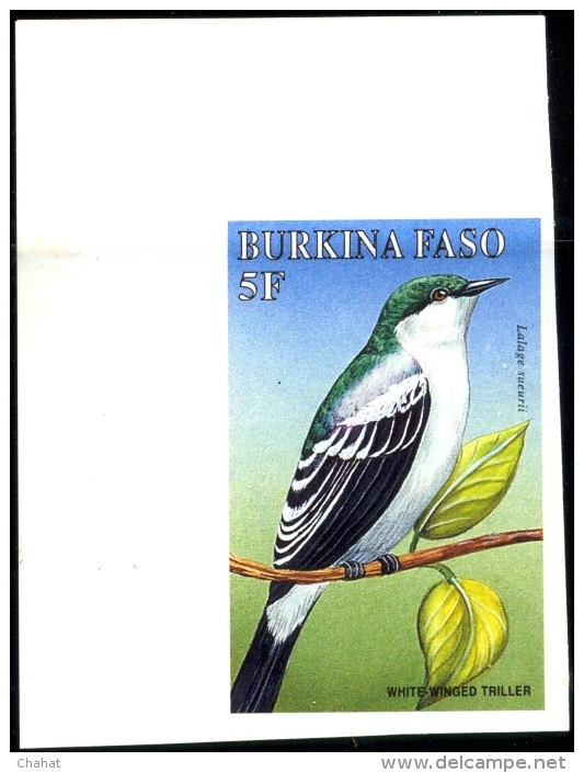 BIRDS-BURKINA FASO-1998-SET OF 6-ALL IMPERF-MNH- A5-559 - Specht- & Bartvögel
