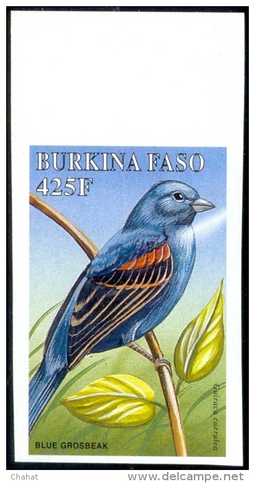 BIRDS-BURKINA FASO-1998-SET OF 6-ALL IMPERF-MNH- A5-559 - Pics & Grimpeurs