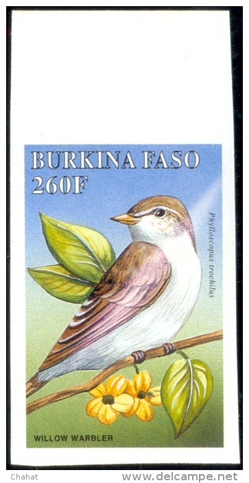 BIRDS-BURKINA FASO-1998-SET OF 6-ALL IMPERF-MNH- A5-559 - Piciformes (pájaros Carpinteros)