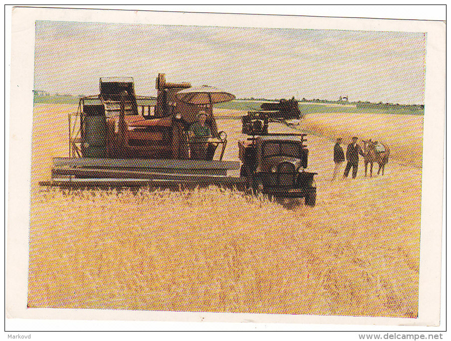 808 Harvesting Wheat Grain Harvester Ukraine 1957 - Andere & Zonder Classificatie