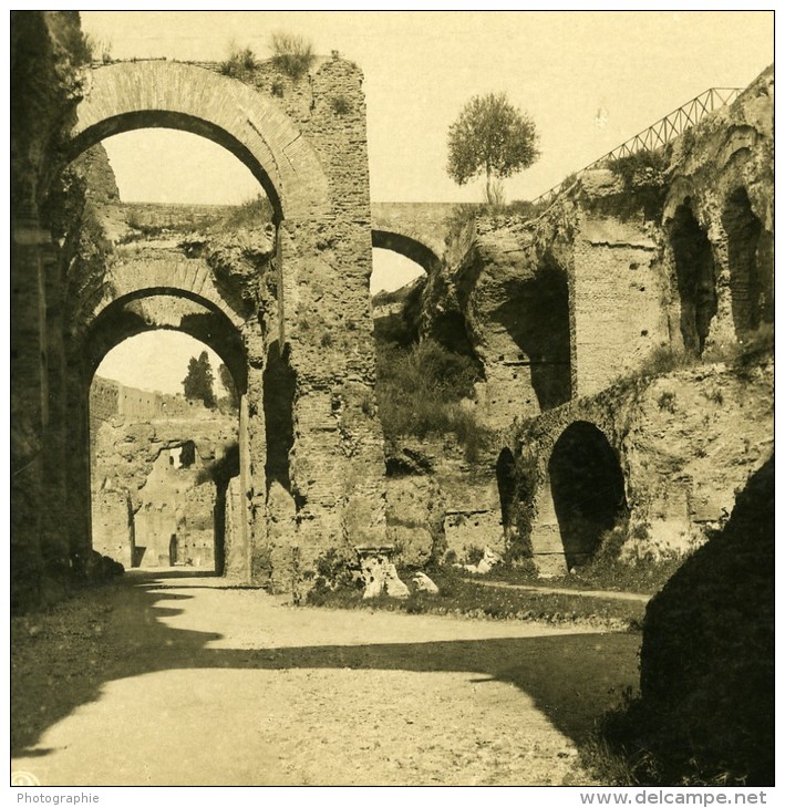 Italie Rome Mont Palatin Palais De Septime Severe Ancienne Stereo Photo Stereoscope NPG 1900 - Stereoscopic