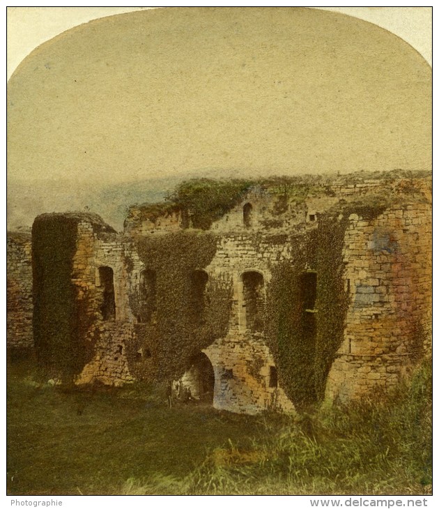 Royaume Uni Paysage Château De Beaumari Ancienne Photo Stereoscope Ogle &amp; Edge 1860 - Photos Stéréoscopiques