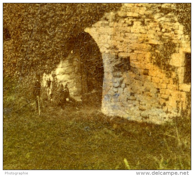 Royaume Uni Paysage Château De Beaumari Ancienne Photo Stereoscope Ogle &amp; Edge 1860 - Photos Stéréoscopiques