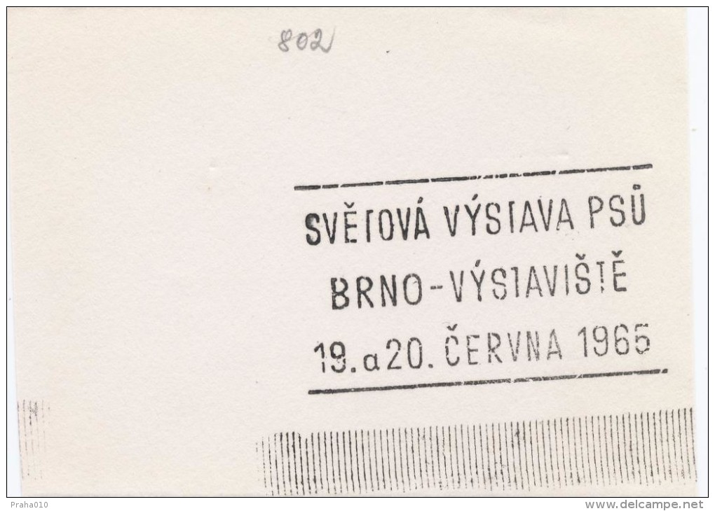 J2099 - Czechoslovakia (1945-79) Control Imprint Stamp Machine (R!): World Dog Show; Brno - Exhibition Centre; 1965 - Probe- Und Nachdrucke