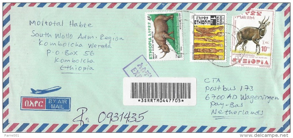 Ethiopia 2007 Kombolcha Bushbuck Rhinoceros Statue Express Barcoded Registered Cover - Ethiopië