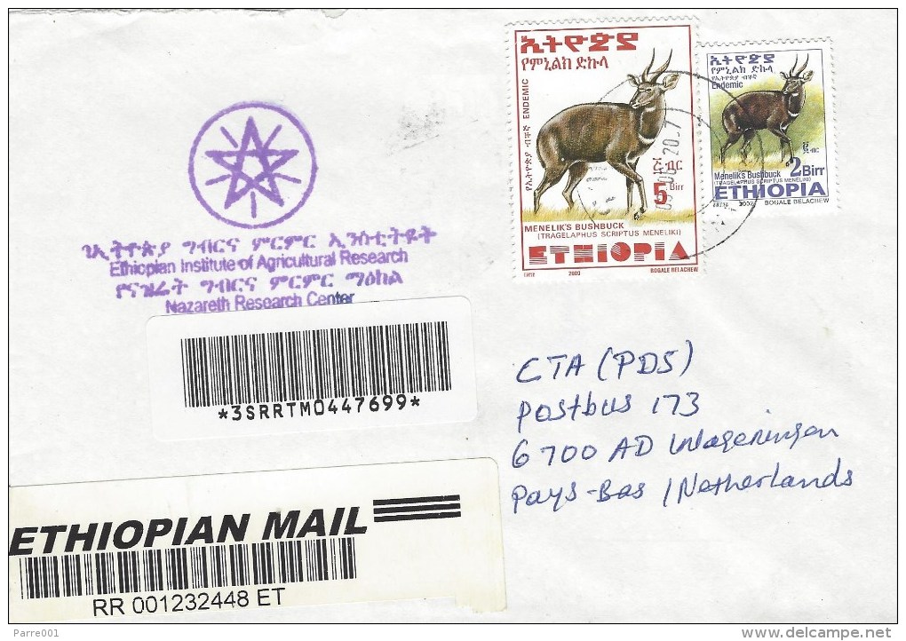 Ethiopia 2007 Nazateth Bushbuck Barcoded Registered Cover - Ethiopia