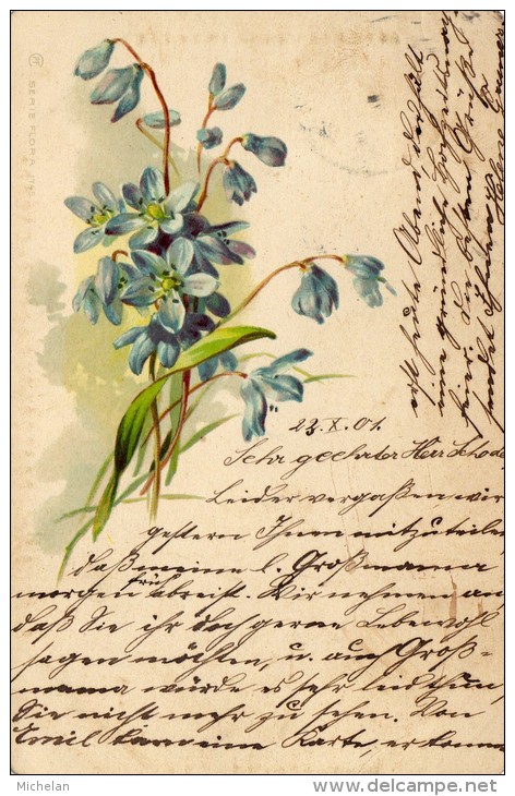 CPA   Allemagne---fleurs Bleues---1901 - Autres & Non Classés