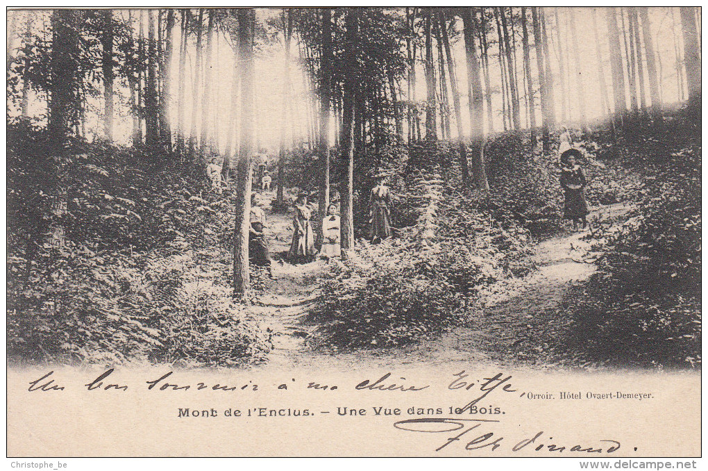 Mont De L'Enclus, Une Vue Dans Le Bois (pk19375) - Mont-de-l'Enclus