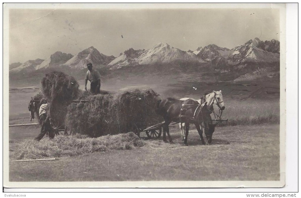 Tatry. - Slowakei