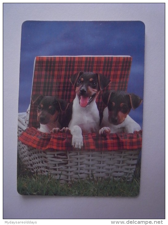 1 CALENDAR SMALL - ANIMAL CÃO CAO DOG CHIEN CANE HUND HOND PERRO - Small : 1991-00