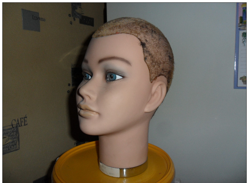 Tete De Mannequin En Plastique Mou Ideal Pour Presente Casque; Casquette, Coiffe,chapeau  Tres Bon  Etat - Casques & Coiffures