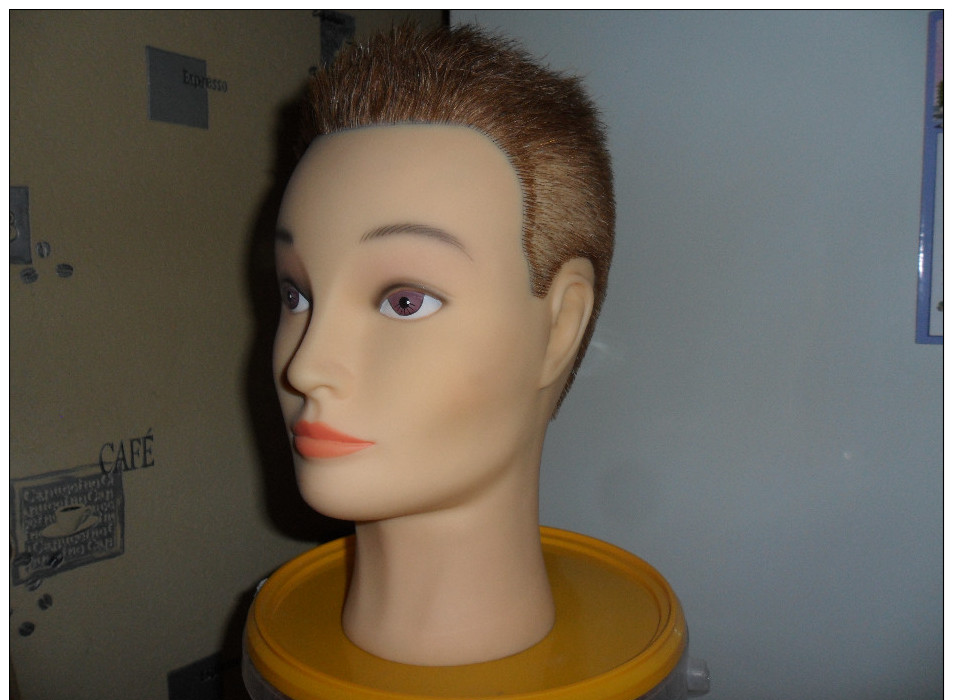 Tete De Mannequin En Plastique Mou Ideal Pour Presente Casque; Casquette, Coiffe,chapeau  Tres Bon  Etat - Casques & Coiffures