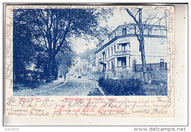 0-1310 BAD FREIENWALDE, Waldschloss Und Heilige Hallen, Firmenlochung / Perfin, 1909, Rücks. Dünne Stelle - Bad Freienwalde