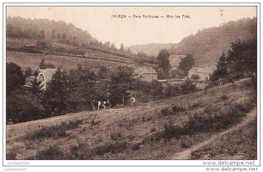 BELGIQUE FAIRON VERS ANTHISNES MON LES PRES AVEC DES VACHES CPA BON ETAT - Comblain-au-Pont