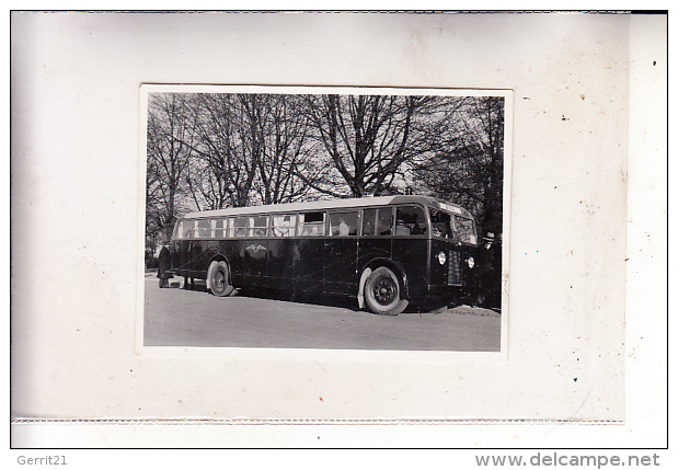 EESTI / ESTLAND - TALLINN / REVAL, Omnibus, Photo 6,4 X 8,7 Cm - Estonie