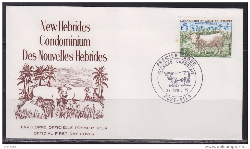 = Condominium Des Nouvelles Hébrides Taureau Charolais Enveloppe 1er Jour Port Vila 29.4.75 N°408 - FDC